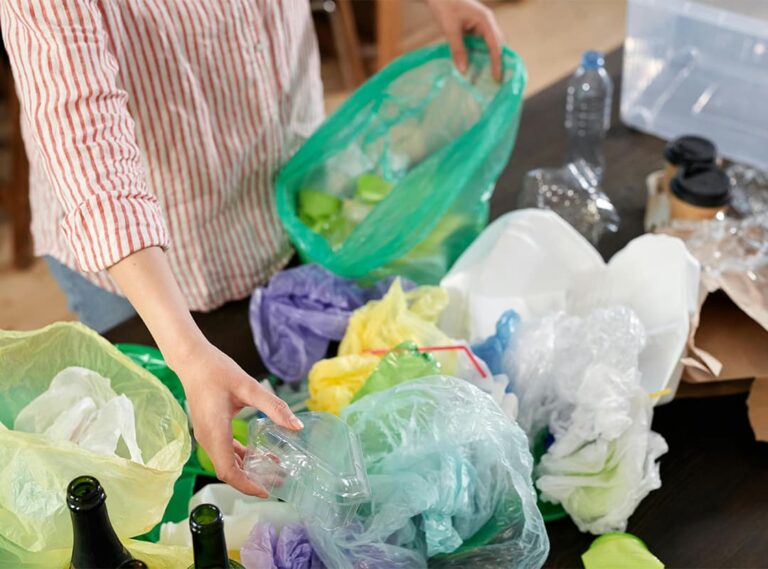 The Impact of SingleUse Plastic Bags on the Environment and How to